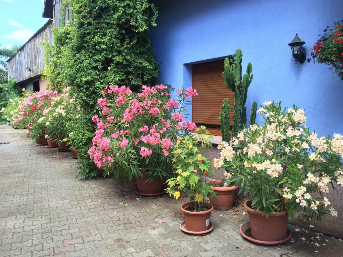 Appartement Du Rittersberg Scherwiller